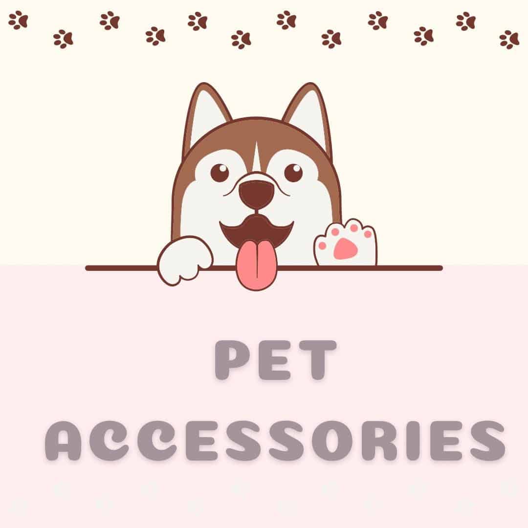 Hey everyone!! What is the number 1 dog accessories that you can’t leave the house without? Let me know in the comments!!

.
.
.
.
#dogportraits #dogsofinstagram #dogportrait #petportraits #dogs #petportrait #dog #petportraitartist #dogart #dogphotography #petsofinstagram #pets #petphotography #dogstagram #doglovers #doglover #doglife #dogphotographer #dogoftheday 
#petphotographer #puppy #dogmodel #dogphotoshoot #alandukesphotography #Dogphotographerstoke
#Dogphotographerstaffordshire @petphotographyuk