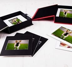 Dog Photographer Folio Boxes Portrait Packages