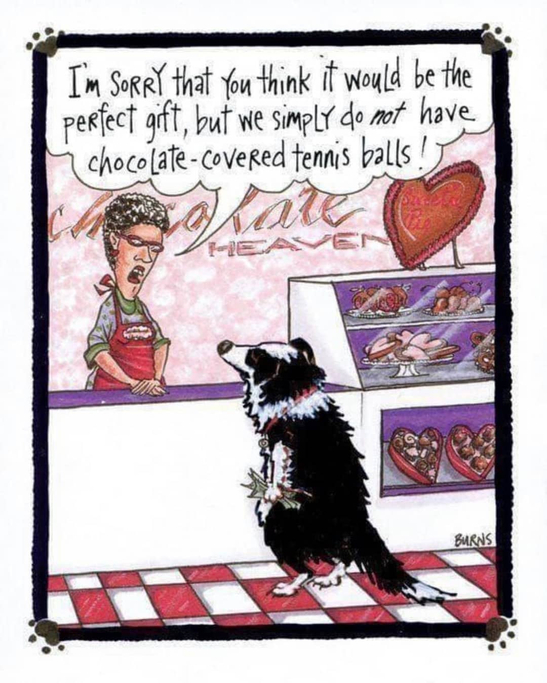 Happy Valentines Day everyone!
Don’t forget to show your beautiful pets some extra love today