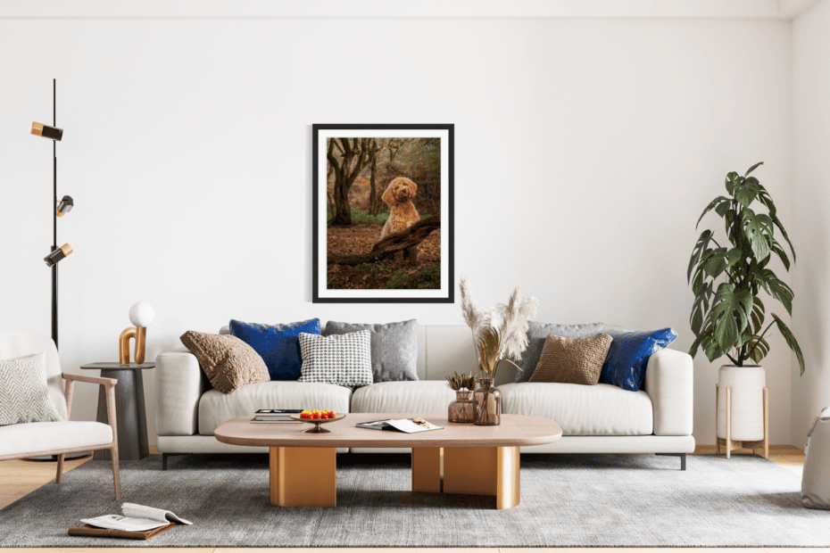 Large, framed image of a brown dog