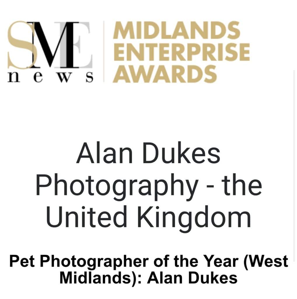 Pet photographer of the year
